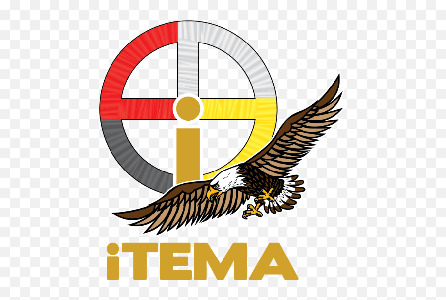Fema - Eagle Emoji,Fema Logo