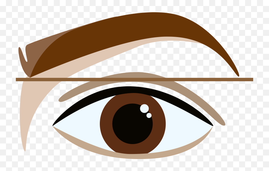 Eyeballs Clipart Eye Care Eyeballs Eye Care Transparent - Brown Eye Brow Cartoon Emoji,Red Eye Meme Png