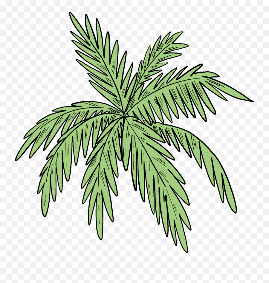 Palm Leaves Clipart - Language Emoji,Palm Leaves Png