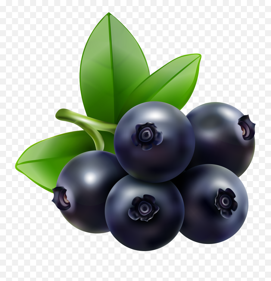Blueberries Clipart Transparent - 5 Blueberry Clipart Emoji,Blueberry Png