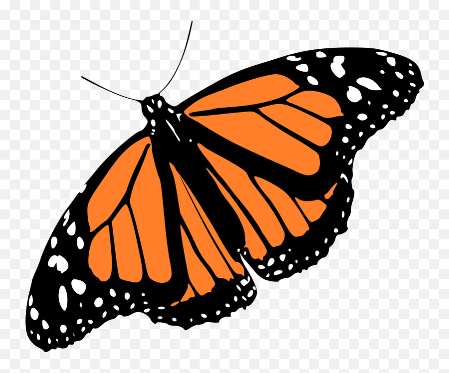 Monarch Butterfly Clipart - Vector Monarch Butterfly Side Emoji,Monarch Butterfly Clipart