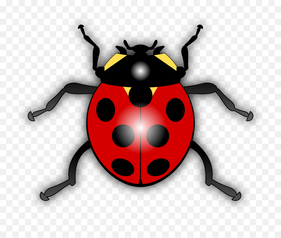 Images Of Ladybugs - Clipart Of Insect Emoji,Ladybug Clipart