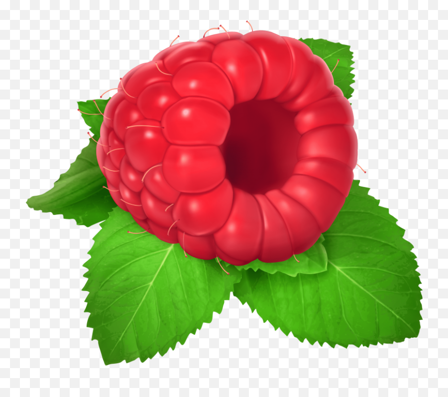 Download Raspberry Clipart Png Photo - Clipart Raspberry Emoji,Raspberry Clipart