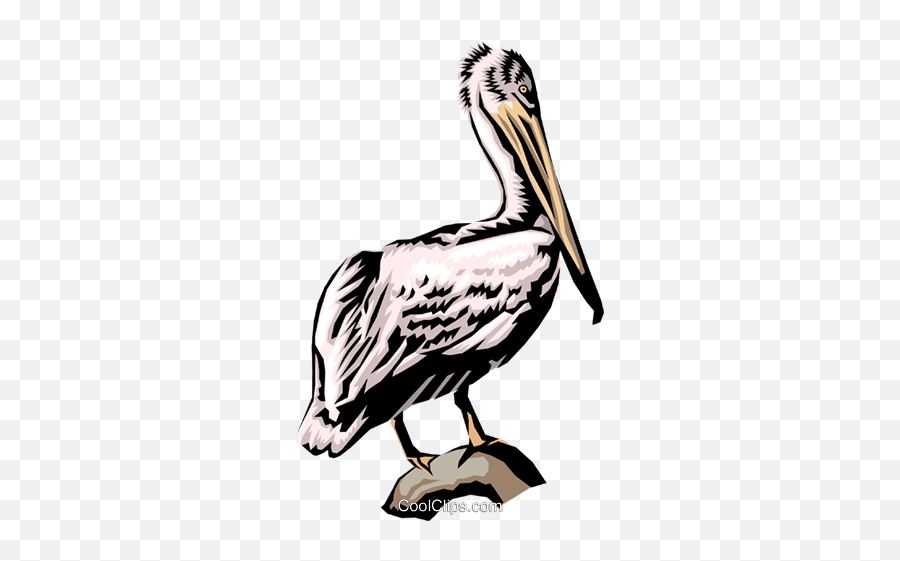 Pelican Royalty Free Vector Clip Art - Long Emoji,Pelican Clipart