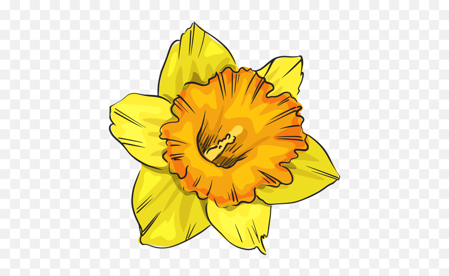 Narcissus Yellow Flower - Daffodil Emoji,Yellow Flower Transparent