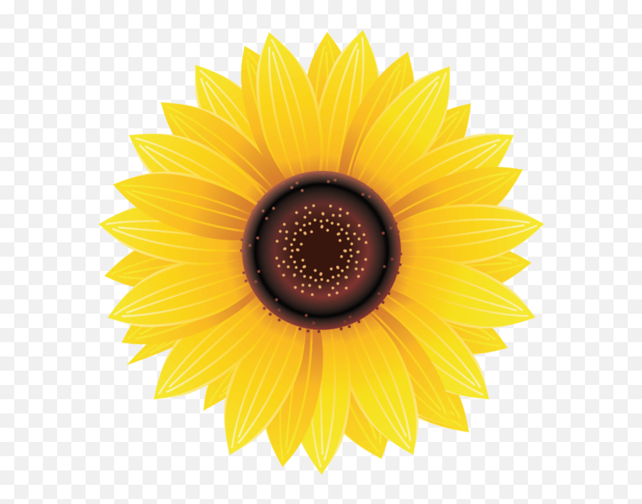 Sunflower Png Image Free Download - Shs 16 1 Gears Emoji,Sunflower Png