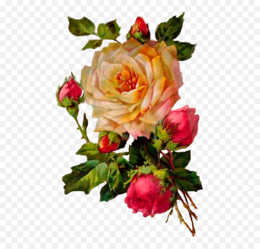 Roses Drawing Tutorial Rose Clipart Vintage Emoji,Vintage Rose Clipart