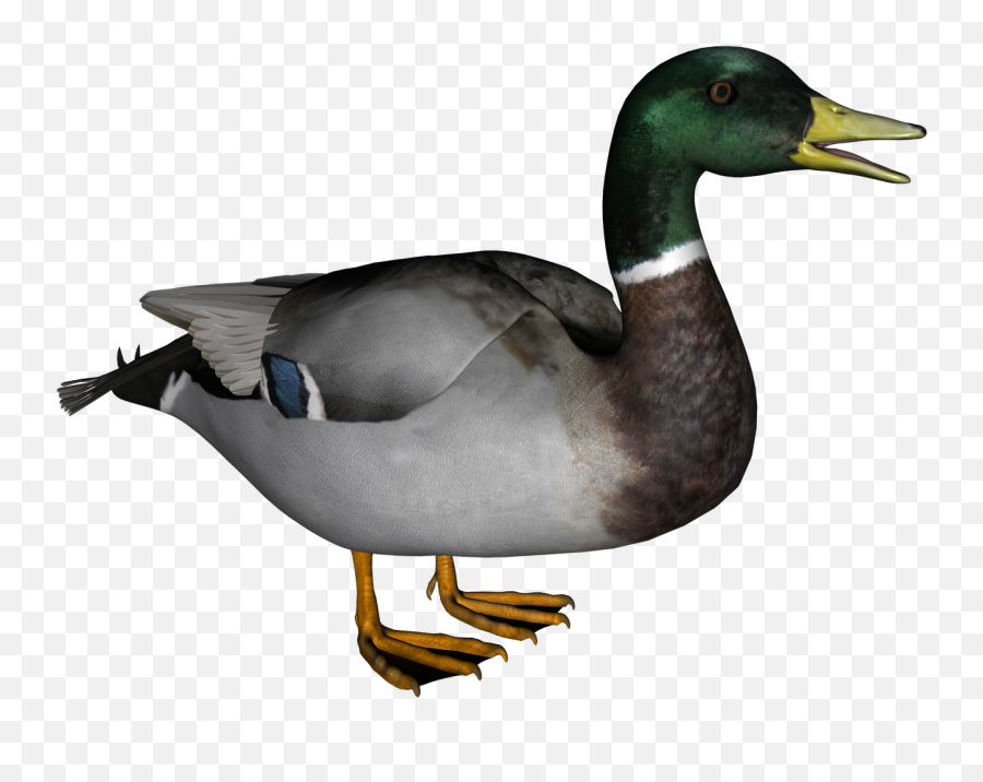 Transparent Background Ducks Clipart - Transparent Duck No Background Emoji,Ducks Clipart