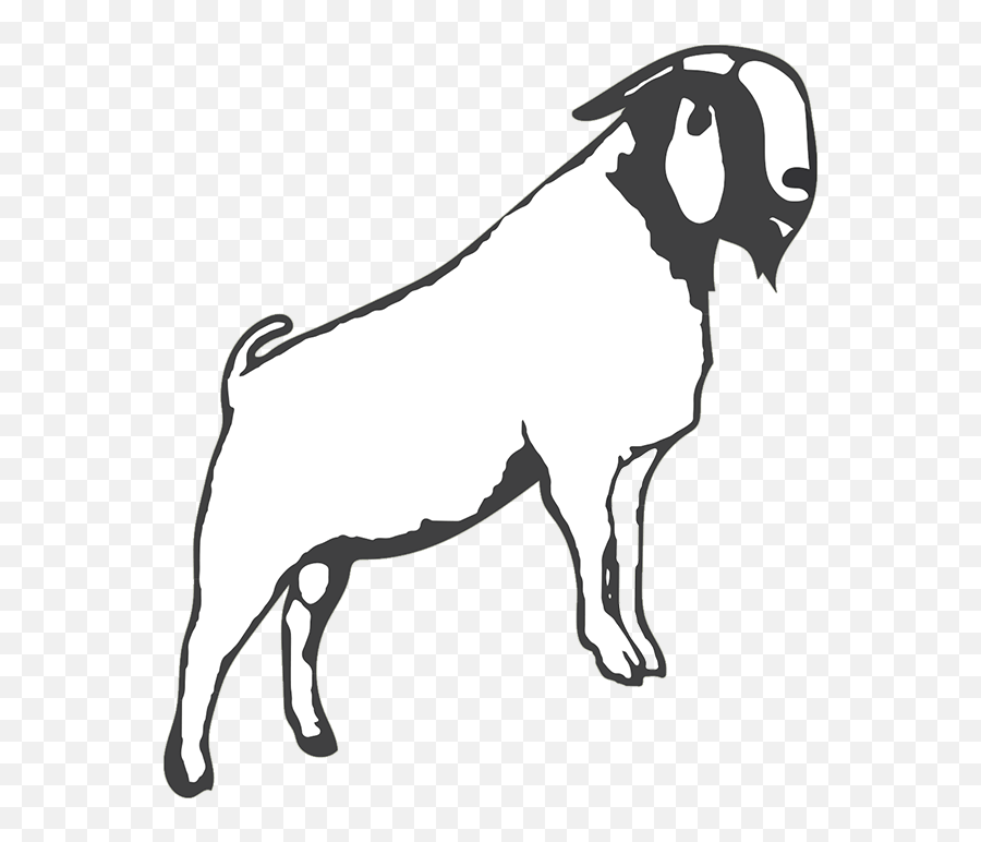 New Barn Farm - Clip Art Meat Boer Goat Emoji,Goat Head Clipart