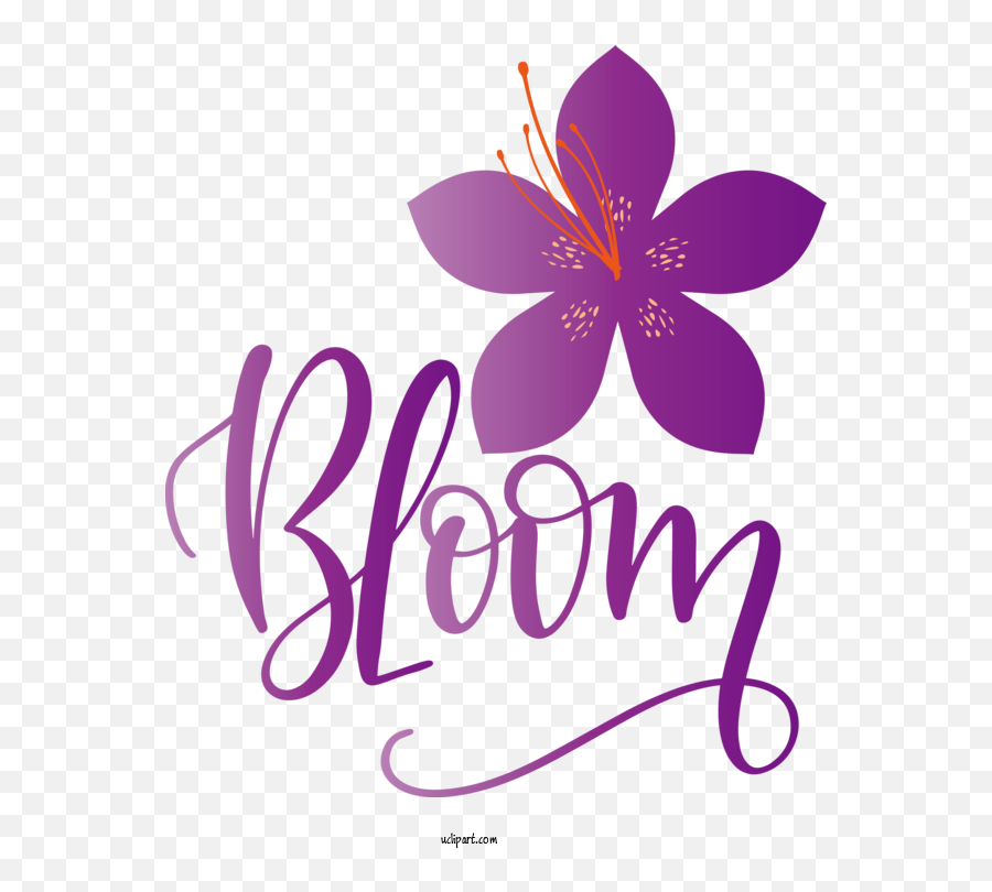 Flowers Logo Drawing Icon For Flower Clipart - Flower Emoji,Flowers Clipart Transparent