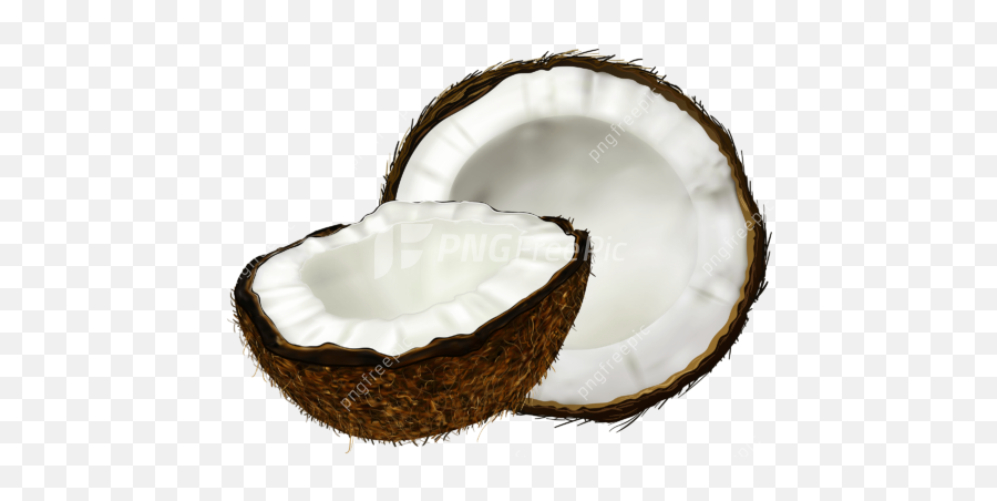 Best Real White Coconut Coconut Png Clipart Unlimited Free Emoji,Coconuts Clipart