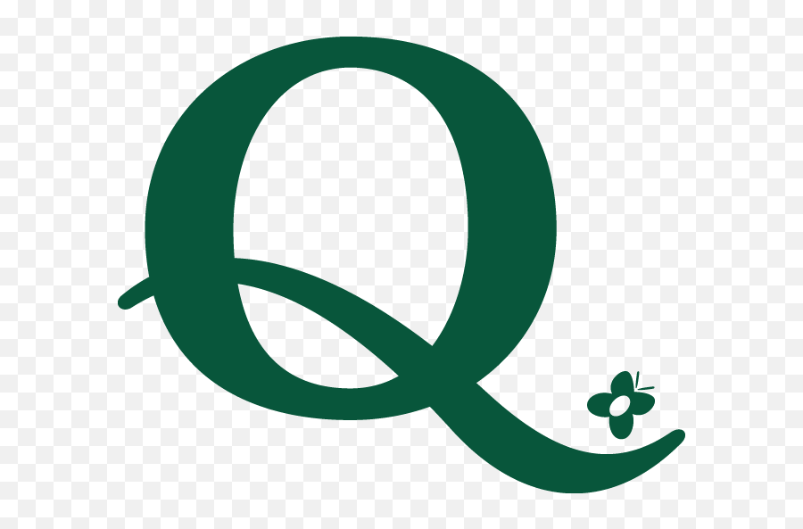 Q - Green Q Logo Emoji,Q Logo