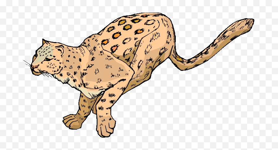 Transparent Background Leopard Clipart - Leopard Clipart Emoji,Leopard Clipart