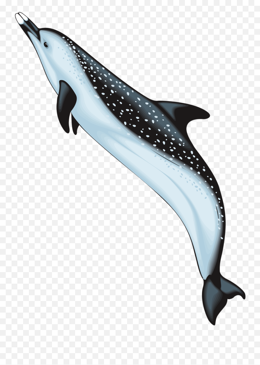 Sea Life Png - Transparent Images Ocean Animals Emoji,Under The Sea Clipart