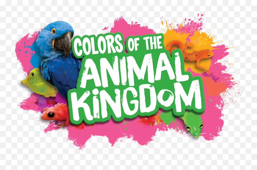 Colors Of The Animal Kingdom - Language Emoji,Animal Kingdom Logo