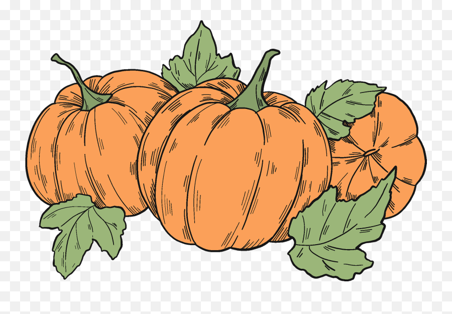 Pumpkin Patch Clipart Free Download Transparent Png - Transparent Pumpkin Patch Clipart Emoji,Squash Clipart