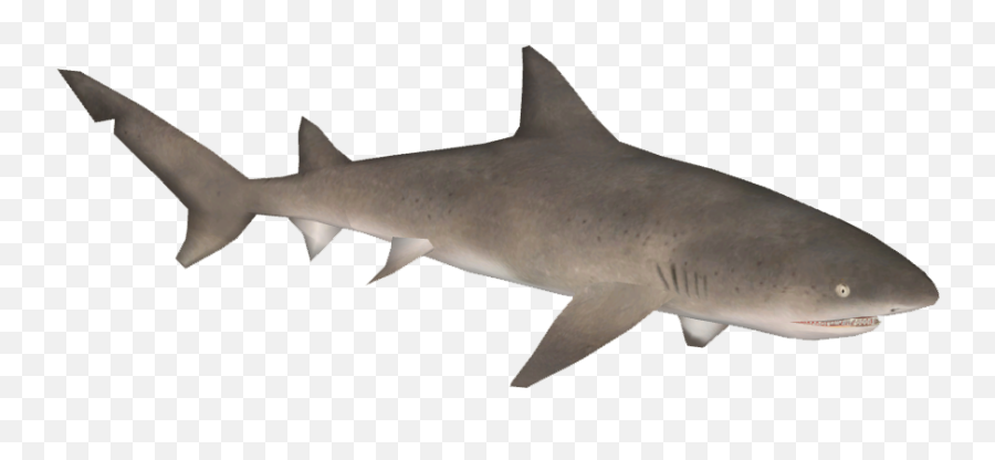 Lemon Shark Hungry - Shark Fanon Wiki Fandom Lemon Shark Png Emoji,Shark Transparent