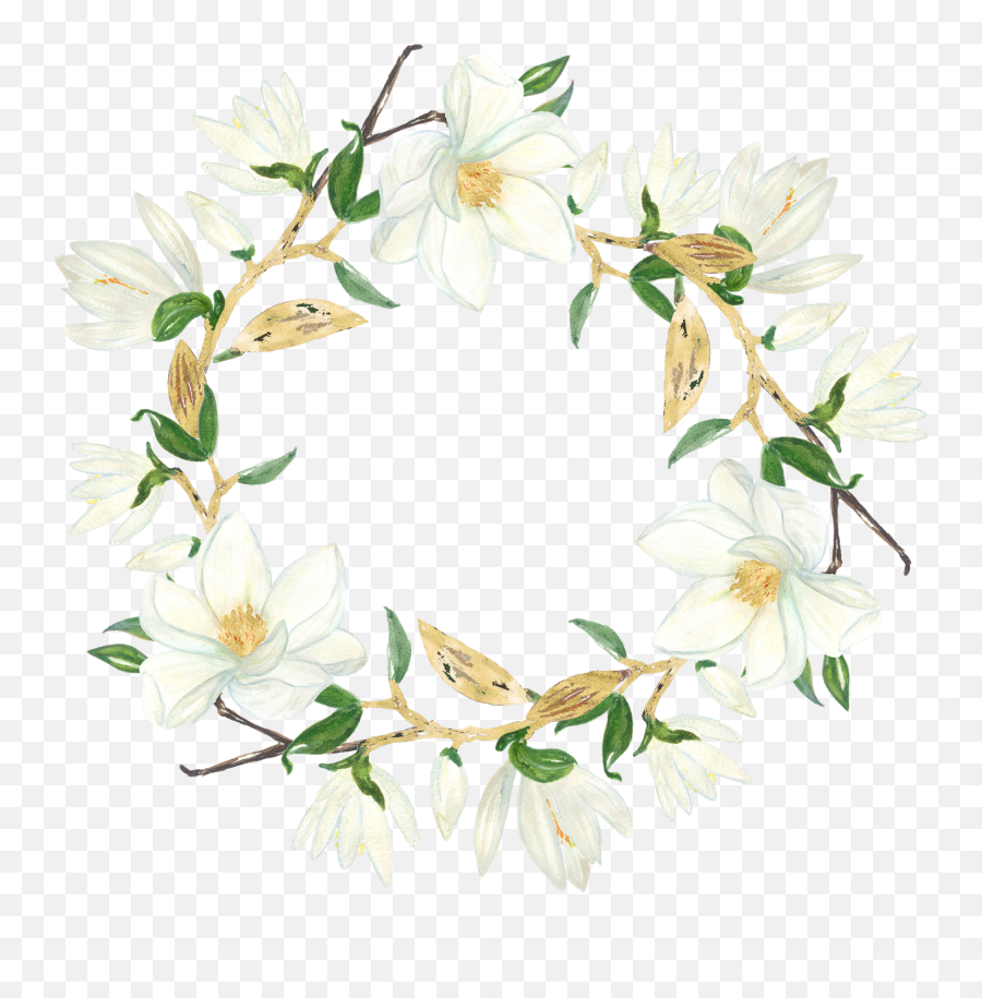 Magnolia Clipart Magnolia Flower Emoji,Magnolia Clipart