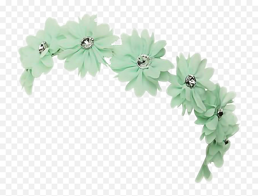 Green Flower Crown Transparent Png - Transparent Background Green Flower Crown Emoji,Flower Crown Transparent