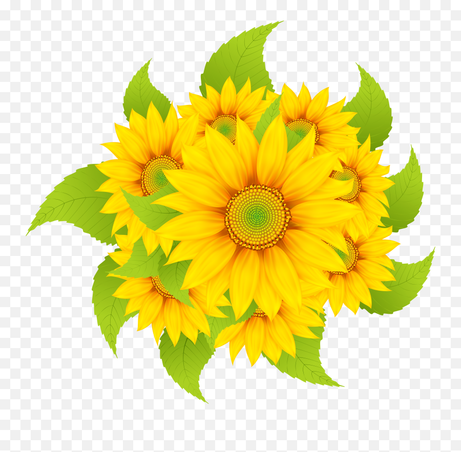 Banner Freeuse Stock Sunflowers Decoration Clipart Emoji,Decoration Clipart