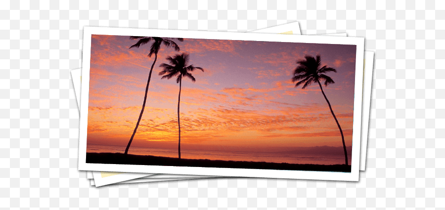 Download Hd Beautiful Scene - Sunset Transparent Png Image Picture Frame Emoji,Sunset Png