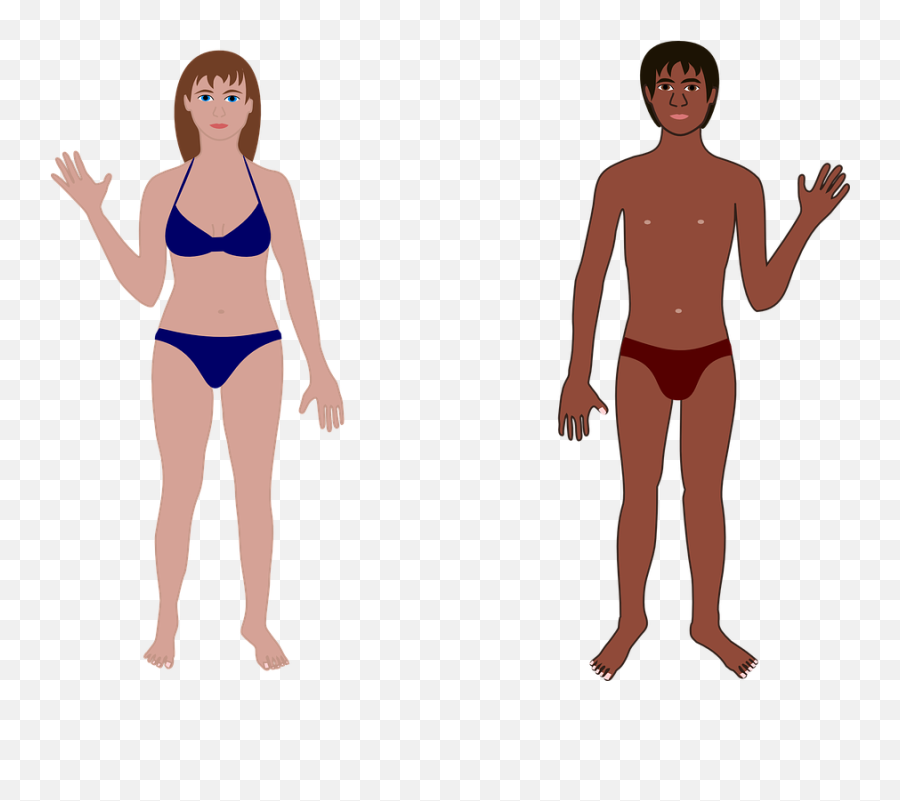 Download Hd People Clipart Bathing Suit - Human Body People In Bathing Suits Transparent Emoji,Suit Clipart