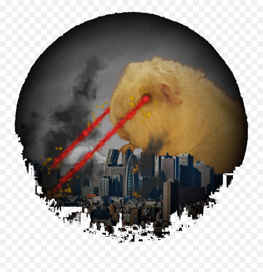 Download Guinea Pig Attacking Tokyo - Laser Eye Guinea Pig Emoji,Laser Eyes Png