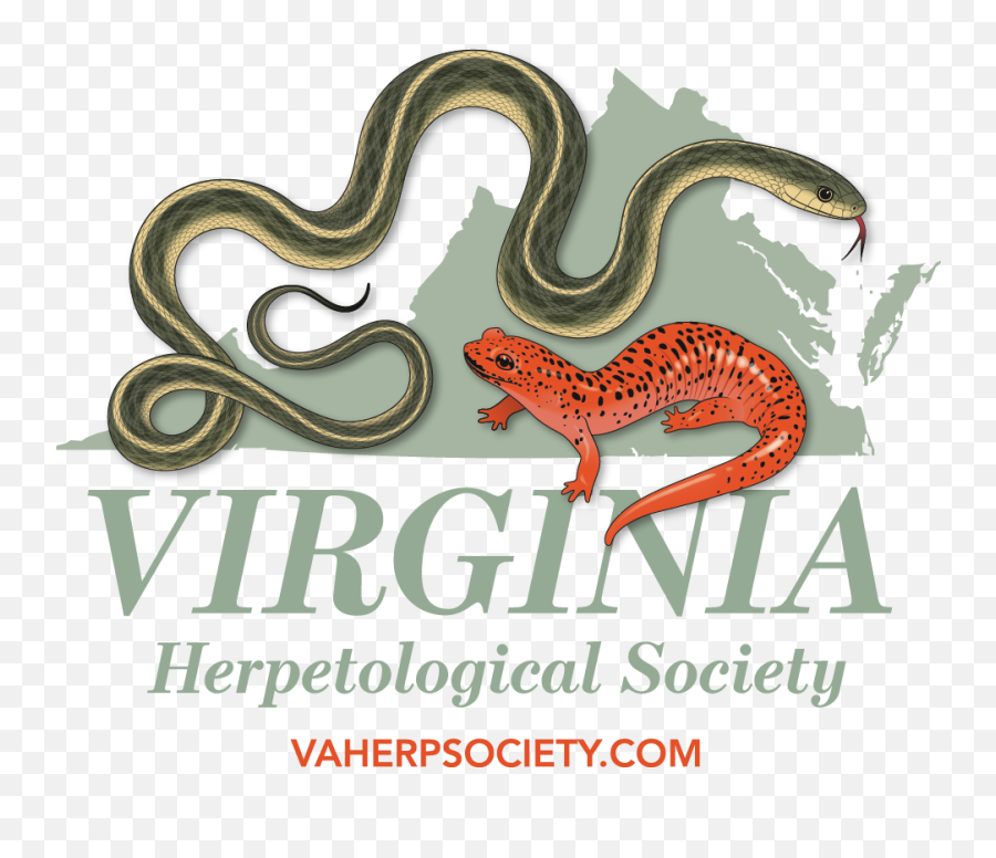 Virginia Herpetological Society - Animal Figure Emoji,Vhs Logo