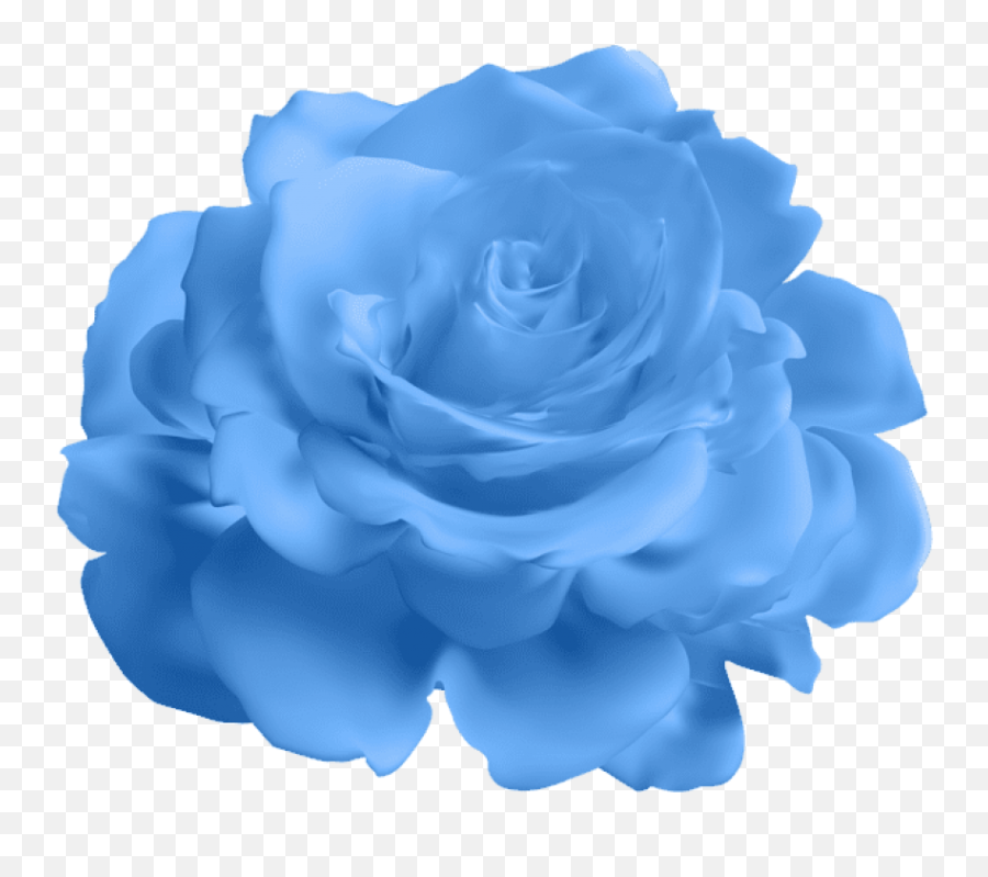 Blue Rose Transparent Images Png Arts - Transparent Background Blue Roses Transparent Emoji,Rose Transparent Background