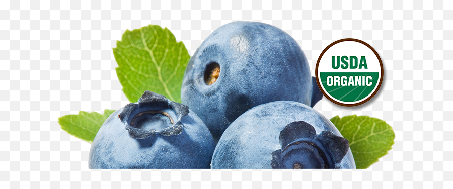 Health U2013 Brushcreek Berries Emoji,Blueberry Png