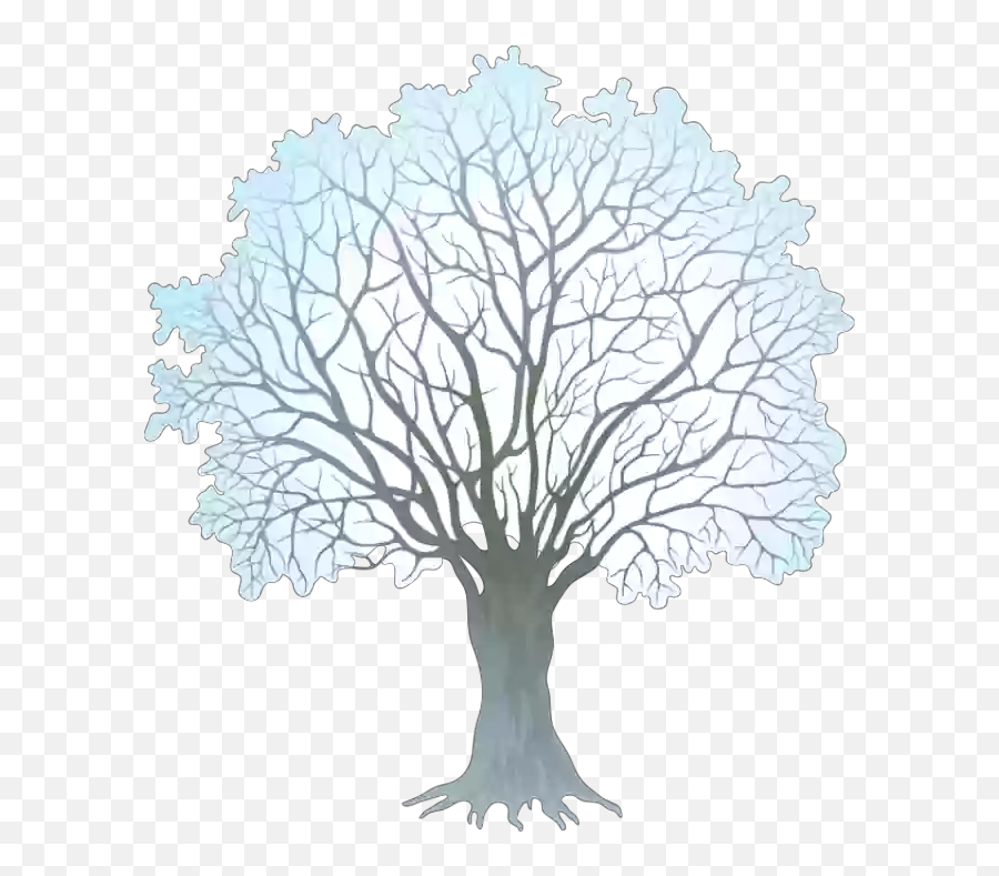Winter - Winter Clipart Png Transparent Background Emoji,Winter Tree Clipart
