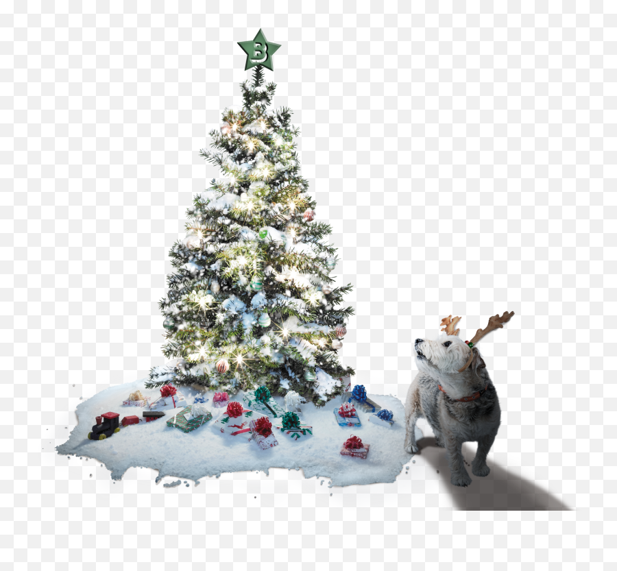 Tofu Snowfall Projector Fairy Light - Christmas Tree Png With Snow And Light Emoji,Snowfall Png