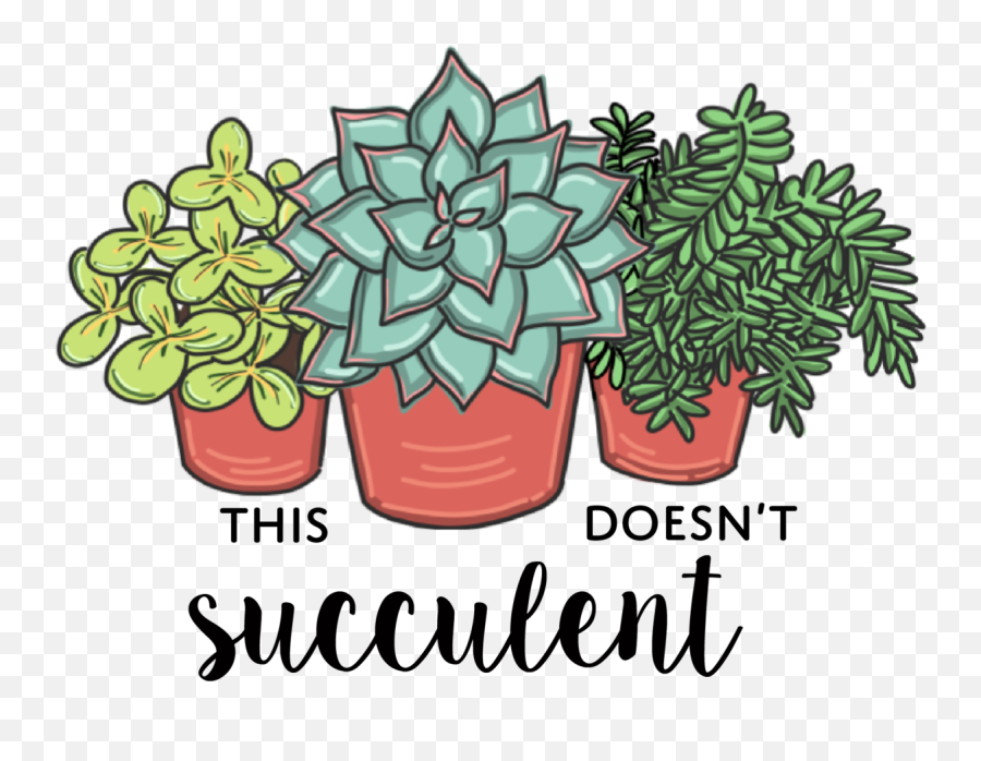 Shop Online Rare Succulents Cactus - Language Emoji,Succulents Png