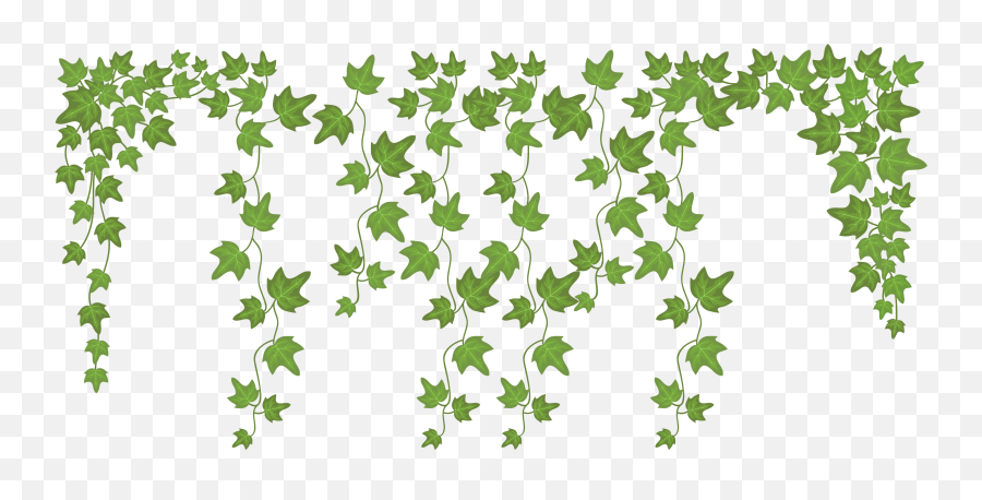 Hanging Green Leaves Plant Wall Sticker - Tenstickers Emoji,Hanging Of The Greens Clipart