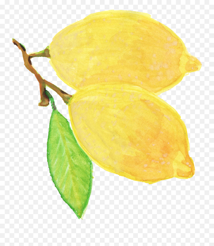 Watercolor Lemon Transparent - Watercolour Yellow Flowers Transparent Background Emoji,Lemon Png