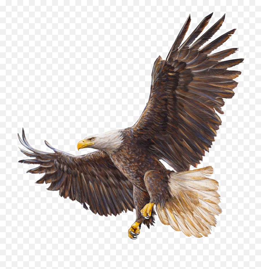 Tiger Eagle One Image - Peepsburgh Emoji,Eagles Logo Wallpapers