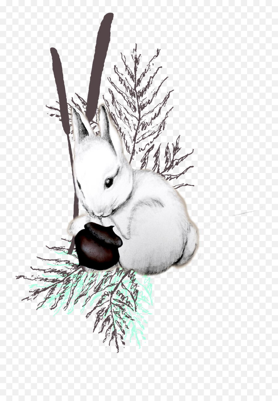 Vintage Style White Bunny In Nature Perfect For A Kids Emoji,Nature Clipart Black And White