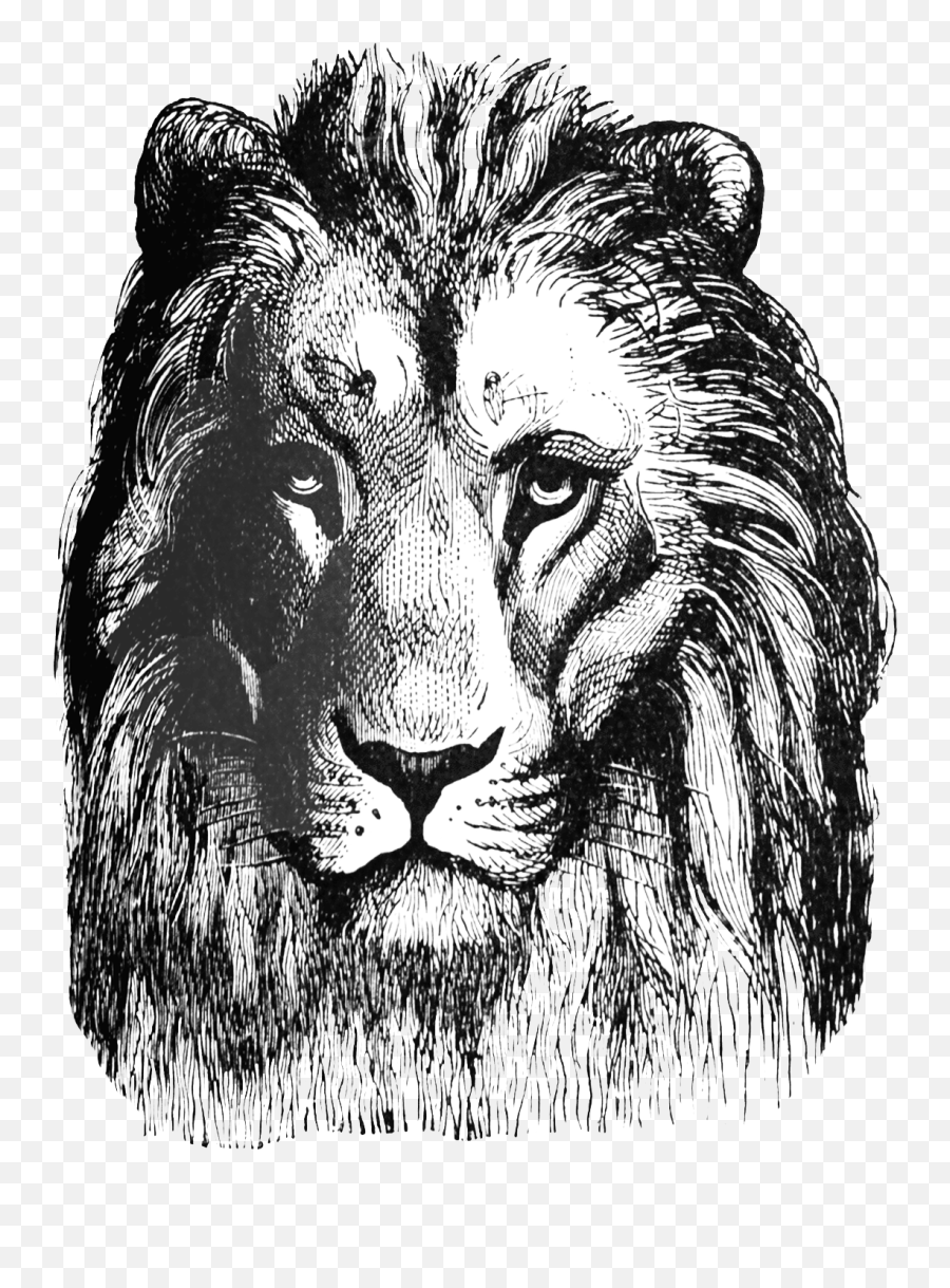 Lion Head Clipart - Vintage Lion Head Clipart Emoji,Lion Head Clipart