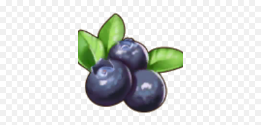 Blueberry Pocket Pioneers Wiki Fandom - Superfood Emoji,Blueberry Png
