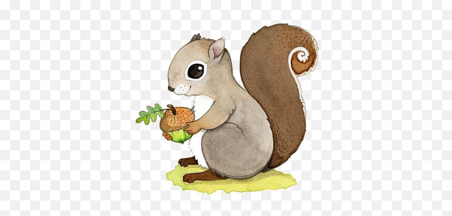 Clipart Squirrel Nursery Clipart Squirrel Nursery - Cute Grey Squirrel Illustration Emoji,Squirrel Clipart