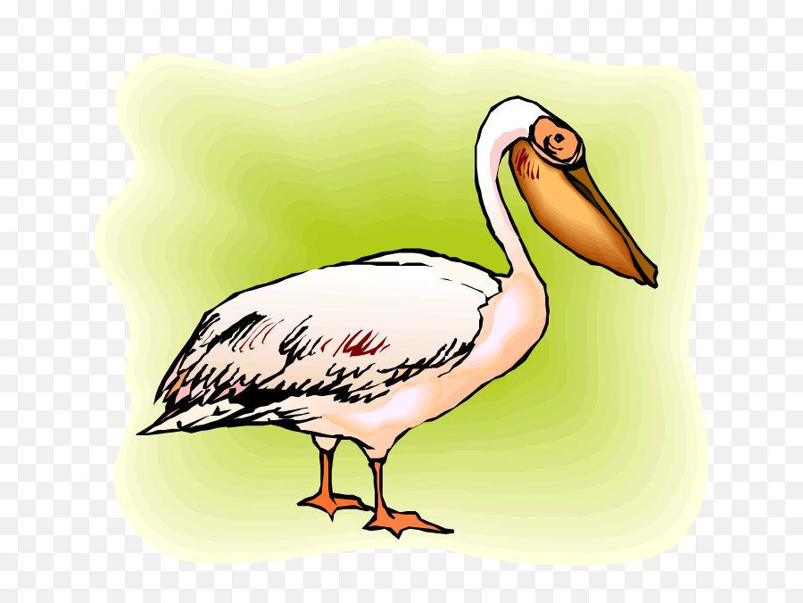 Free Pelican Clipart - Long Emoji,Pelican Clipart