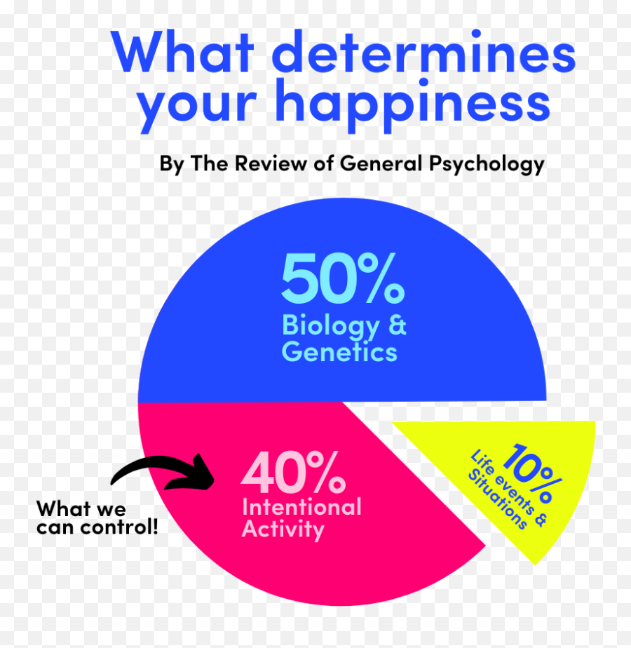 Test Your Happiness Level - Free Assessment U2014 Journify Emoji,Happiness Png