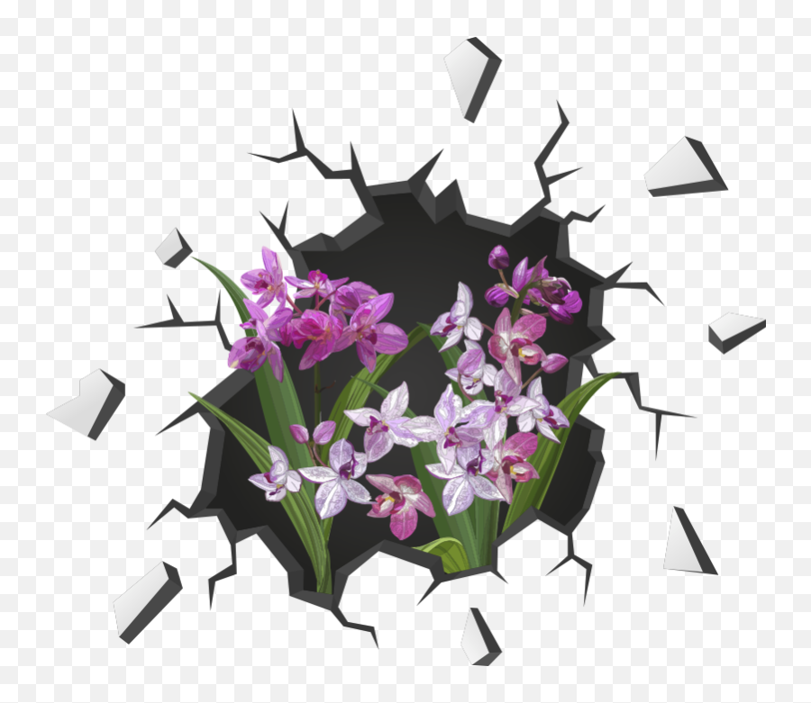 Orchids From The Hole Visual Effects Wall Decal - Volleyball Background Emoji,Hole In Wall Png