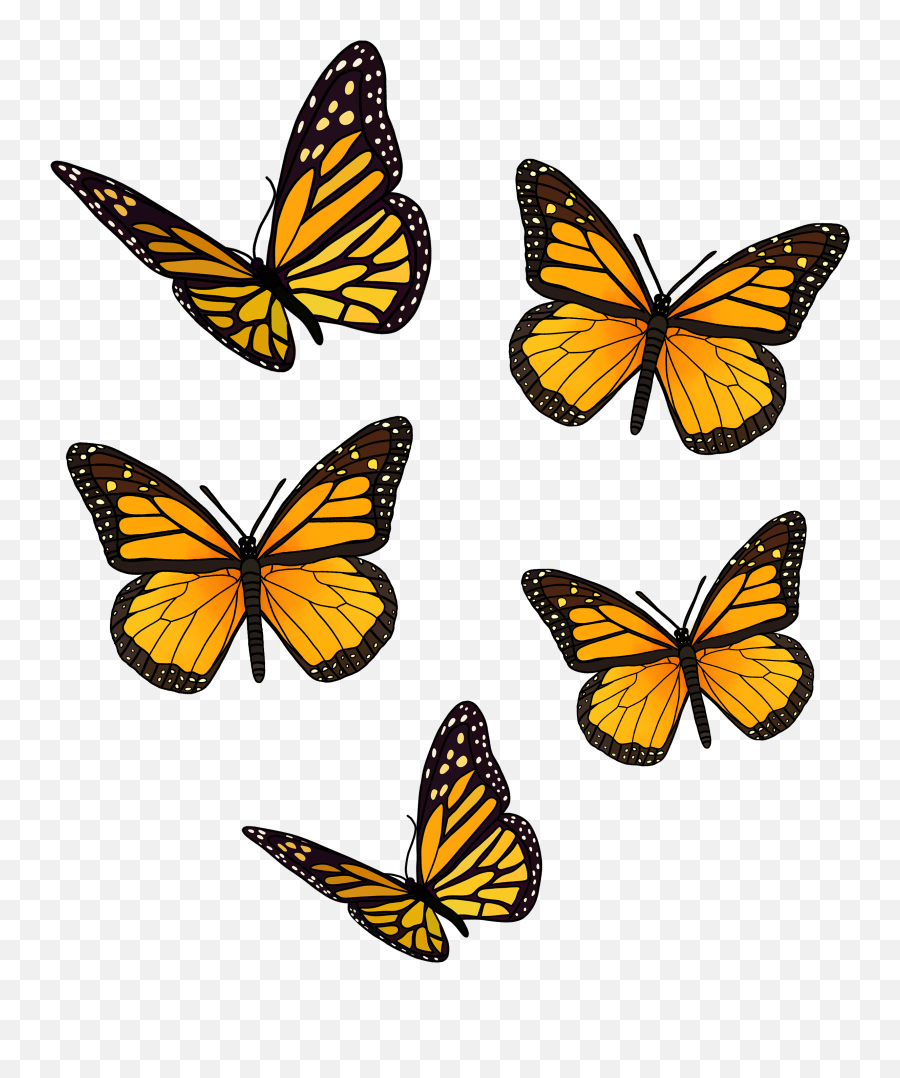 Yellow Butterfly Pack Sticker Emoji,Yellow Butterfly Png