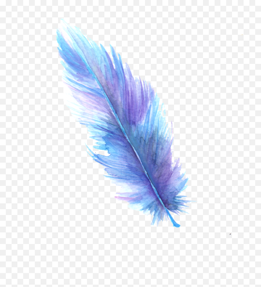 Free Transparent Feather Png Download - Transparent Background Feather Transparent Png Emoji,Feather Png