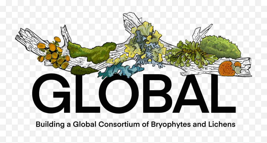 Global U2013 Building A Global Consortium Of Bryophytes And Emoji,The World Transparent