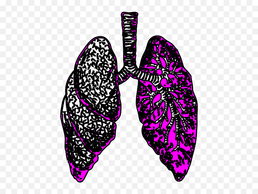 Lungs Clipart - Lungs Clipart Emoji,Lungs Clipart
