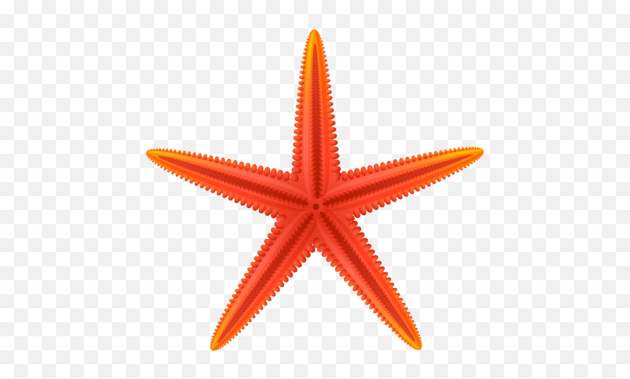 Red Starfish Png Clip Art Best Web Clipart Clip Art Sea - Sea Star Png Clipart Emoji,Web Clipart