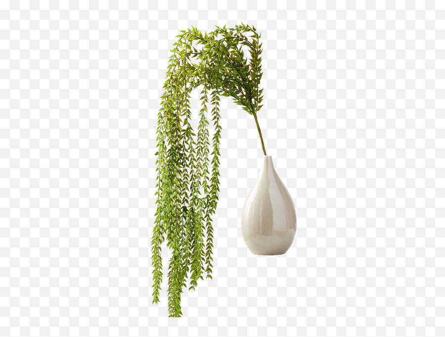 Artificial Plants - Baker Fern Emoji,Hanging Of The Greens Clipart