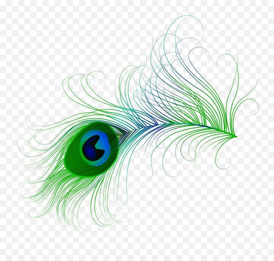 Peacock Feather Art Feather Clip Art Emoji,Feather Png